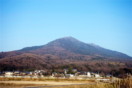 事例1）見たこともない遠方の土地を相続した。